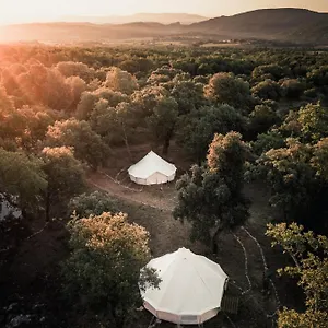Lodg'ing Nature Camp Luberon Luxuszelt